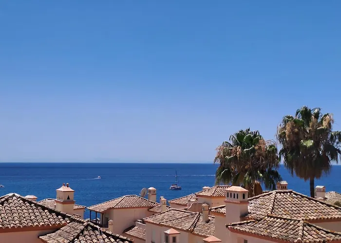 Noctua Estepona Puerto 021
